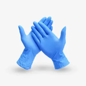 Nitrile Exam Gloves Powder Free Small Box/100