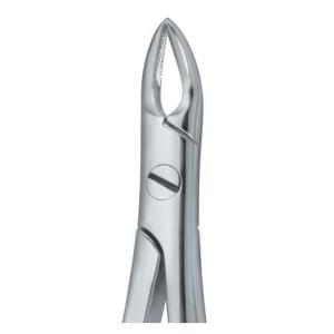 Extraction Forcep fig. 76N with standard handle 
